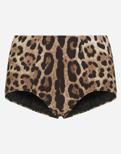 Dolce & Gabbana Leopart Print Jersey Bikini Bottoms In Brown