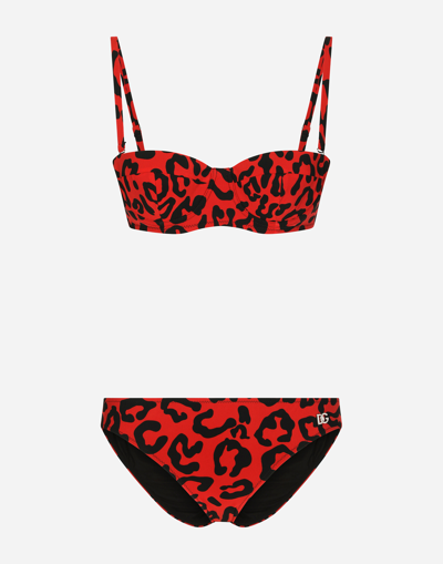 Dolce & Gabbana Leopard-print Balconette Bikini In Leo Nero Fdo Rosso