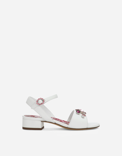 Dolce & Gabbana Nappa Leather Sandals With Embroidery