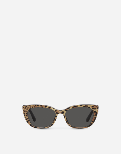 Dolce & Gabbana Mini Me Sunglasses In Brown