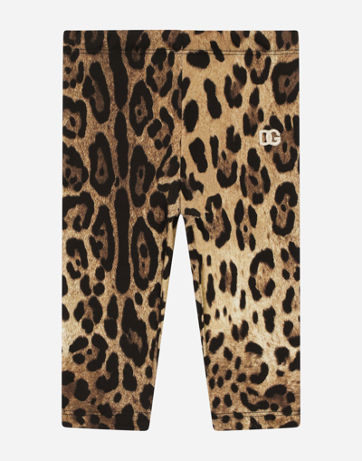 Dolce & Gabbana Babies' Leopard-print Interlock Leggings In Brown