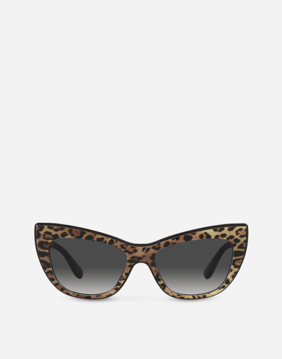 Dolce & Gabbana New Print Sunglasses In Animal Print