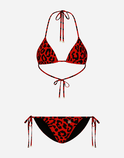 Dolce & Gabbana Leopard-print Triangle Bikini In Leo Nero Fdo Rosso