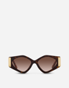 Dolce & Gabbana Tortoiseshell Round-frame Sunglasses In Hanava On Carretto