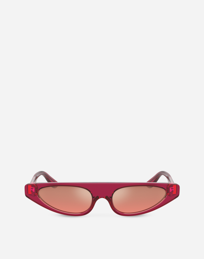 Dolce & Gabbana Re-edition Sunglasses In Red