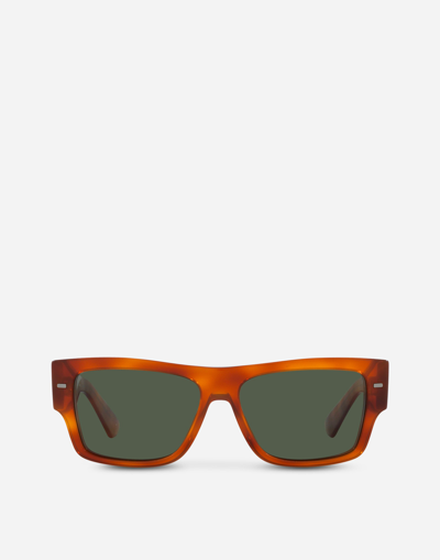 Dolce & Gabbana Lusso Sartoriale Sunglasses In Brown