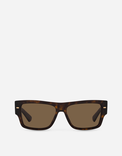 Dolce & Gabbana Lusso Sartoriale Sunglasses In Black