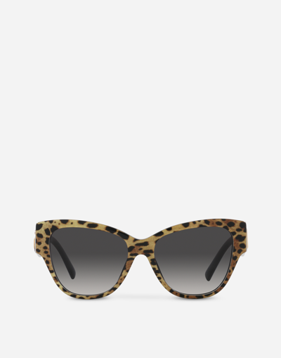 Dolce & Gabbana Dg Logo Sunglasses In Animal Print