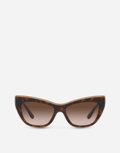 Dolce & Gabbana New Print Sunglasses In Brown