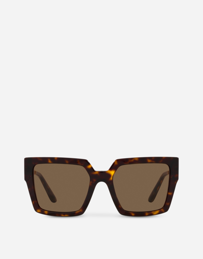 Dolce & Gabbana Dg Diva Sunglasses In Brown