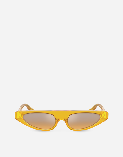 Dolce & Gabbana Re-edition Sunglasses