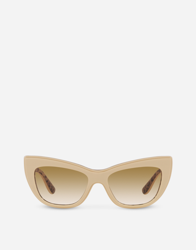 Dolce & Gabbana New Print Sunglasses In Neutral