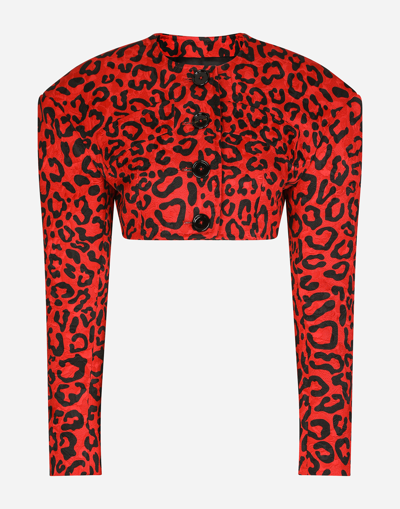 Dolce & Gabbana Cropped Leopard-print Blazer In Leo Nero Fdo Rosso