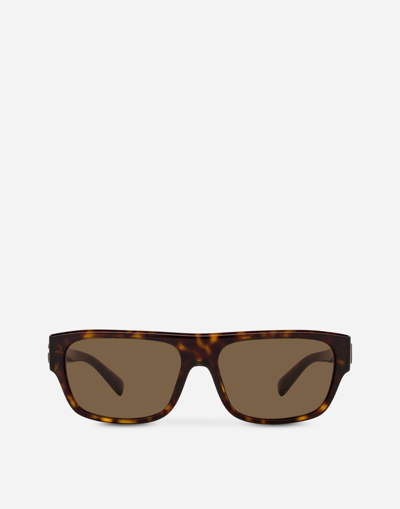 Dolce & Gabbana Re-edition Sunglasses In Brown