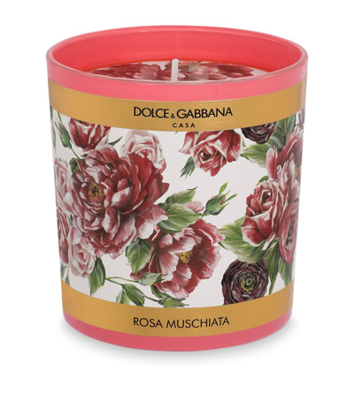 Dolce & Gabbana Rose Candle (250g) In Multi