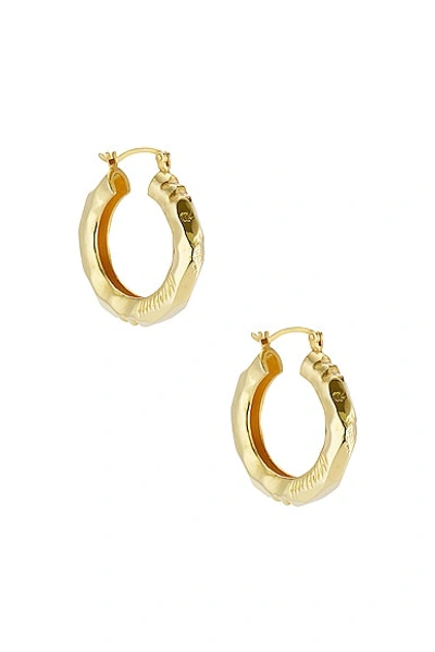 Aureum Claira Earrings In Gold Vermeil