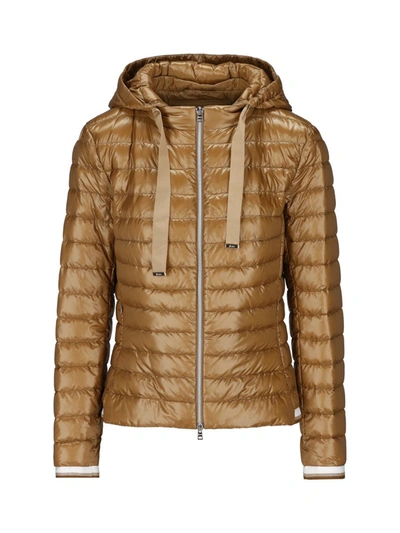 Herno Coats In Brown