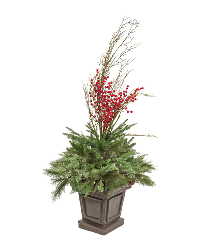 National Tree Company 48in Evergreen & Berries Porch Bush With Led Lights In Green