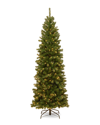 National Tree Company 6.5ft North Valley Spruce Pencil Tree In Green