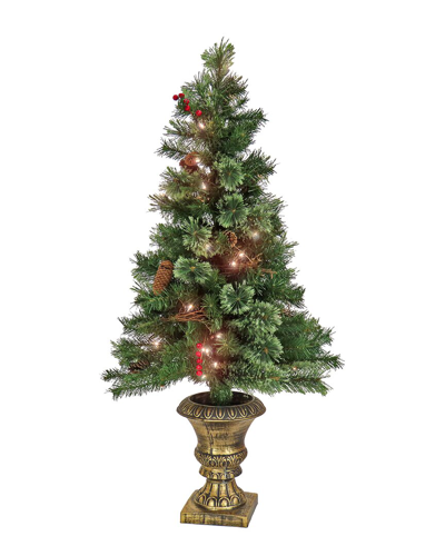 National Tree Company 4ft Glistening Pine Entrance Tree With Clear Lights In Green