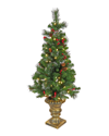 National Tree Company 4ft Crestwood Spruce Entrance Tree With Warm White Led  Lights In Green