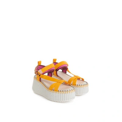 Chloé Nama Flatform Sandals In Multicoloured