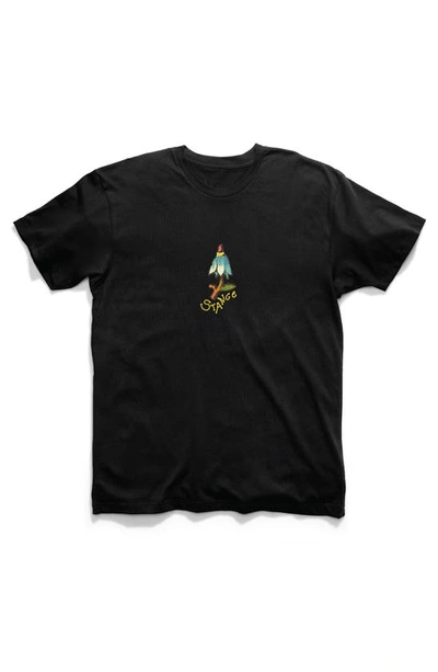 Stance Nightshade Cotton Graphic T-shirt In Black