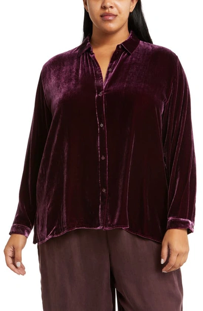 Eileen Fisher Long Sleeve Velvet Button-up Shirt In Sweet Plum