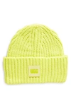 Ugg Chunky Ribbed Beanie In Tennis Green