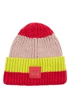 Ugg Chunky Ribbed Beanie In Cerise Multi