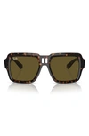 Ray Ban Magellan Square-frame Sunglasses In Braun