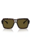 Ray Ban Magellan Square-frame Sunglasses In Havana