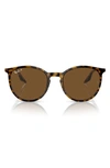 Ray Ban 54mm Polarized Round Phantos Sunglasses In Brown