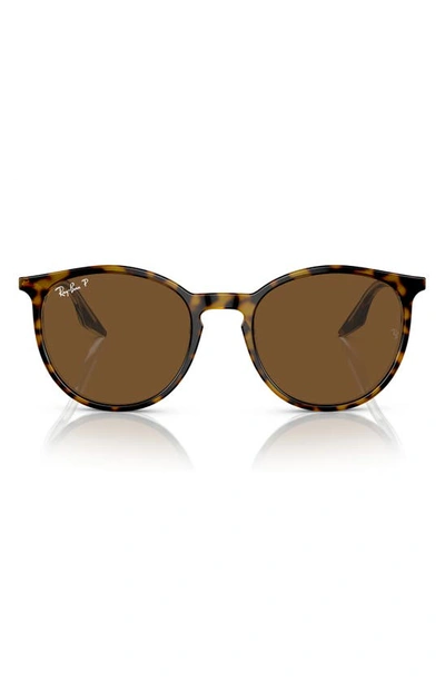 Ray Ban 54mm Polarized Round Phantos Sunglasses In Brown