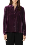 Eileen Fisher Classic Collar Easy Velvet Button-up Shirt In Sweet Plum