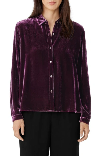 Eileen Fisher Classic Collar Easy Velvet Button-up Shirt In Sweet Plum