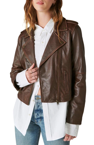 Lucky Brand Leather Moto Jacket In Chestnut