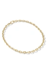 Cast The Baby Brazen Chain Necklace In 14k Yellow Gold