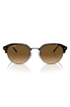 Ray Ban Rb4429 Sunglasses Gunmetal Frame Brown Lenses Polarized 53-20 In Havana
