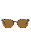 Ray Ban Elliot 54mm Polarized Square Sunglasses In Brown