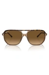 Ray Ban Bill One Sunglasses Havana On Transparent Brown Frame Brown Lenses Polarized 57-16