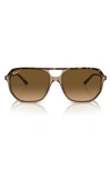 Ray Ban Bill One Sunglasses Havana On Transparent Brown Frame Brown Lenses Polarized 57-16 In Havana