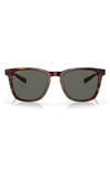 Costa Del Mar Sullivan 53mm Polarized Square Sunglasses In Tortoise
