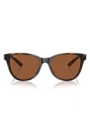 Costa Del Mar Catherine 57mm Polarized Phantos Sunglasses In Tortoise