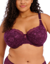 Elomi Brianna Underwire Padded Half Cup Bra In Blackberry
