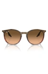 Ray Ban 51mm Phantos Sunglasses In Brown
