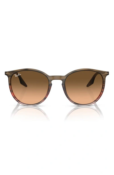 Ray Ban 51mm Phantos Sunglasses In Brown