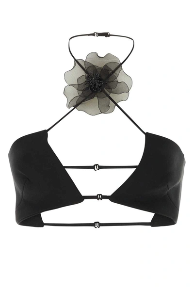 Nensi Dojaka Floral-appliqué Halterneck Cropped Top In Black