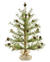 Kurt Adler 24in Tree With Pinecones