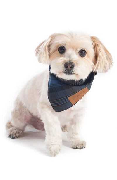 Pendleton Plaid Dog Bandana In Crescent Lake